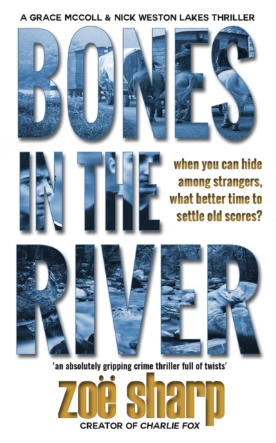 Bones In The River, Paperback / softback Book
