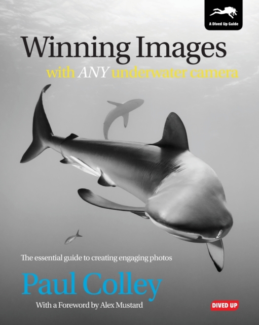 Winning Images with Any Underwater Camera : The Essential Guide to Creating Engaging Photos, Paperback / softback Book