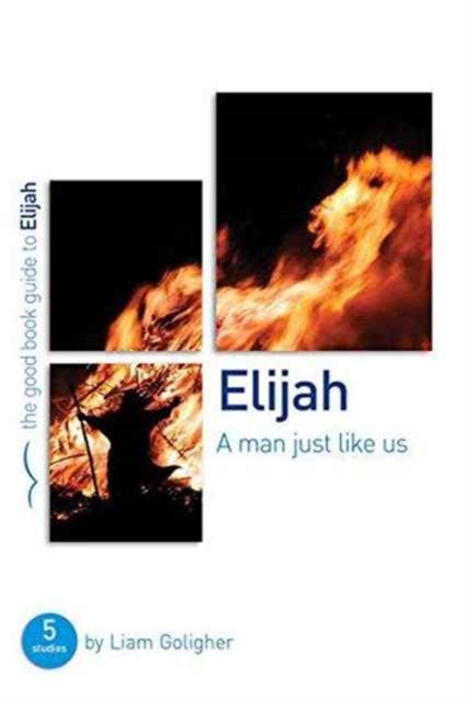 Elijah: A man just like us : 5 studies for individuals or groups, Paperback / softback Book