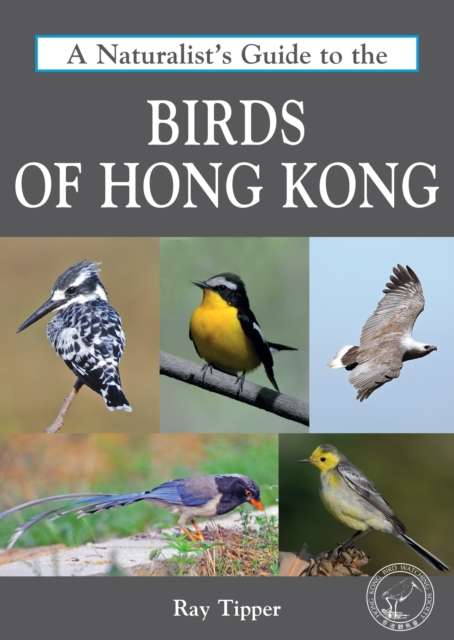 Naturalist's Guide to the Birds of Hong Kong, Paperback / softback Book