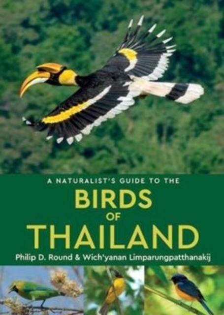 A Naturalist's Guide to the Birds of Thailand, Paperback / softback Book