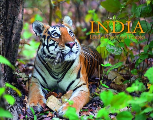 India: Land of Tigers and Temples, Hardback Book