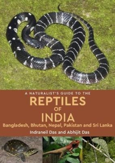 A Naturalist's Guide to the Reptiles of India, Paperback / softback Book