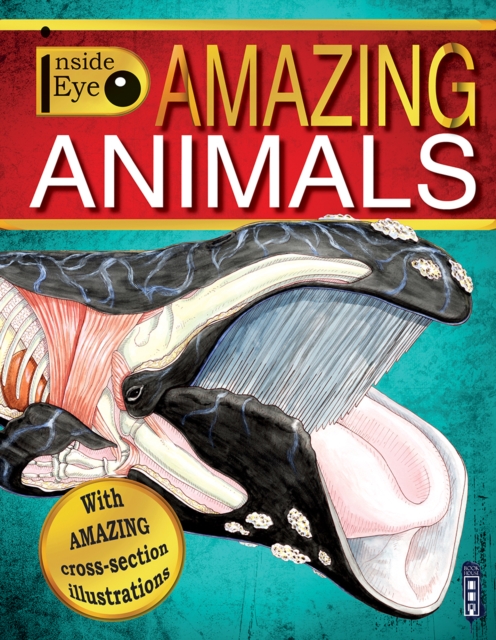 Amazing Animals, Paperback / softback Book