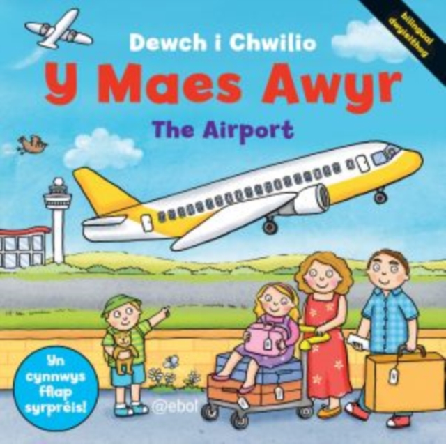 Cyfres Dewch i Chwilio: Y Maes Awyr, Hardback Book
