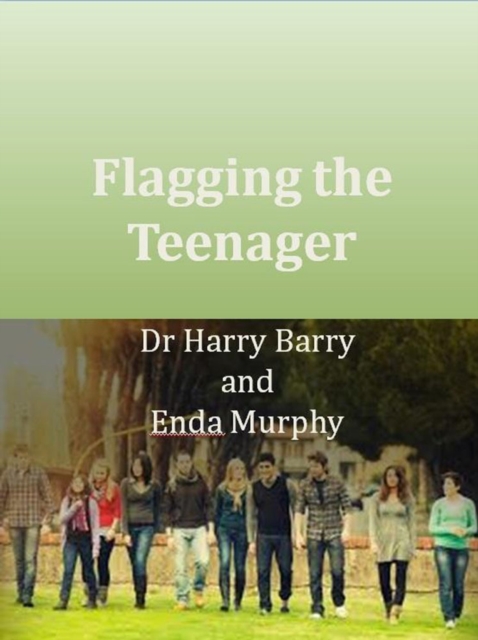 Flagging the Screenager : Guiding Your Child Through Adolescence and Young Adulthood, Paperback / softback Book