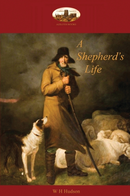 A Shepherd's Life : Impressions of the South Wiltshire Downs (Aziloth Books), Paperback / softback Book