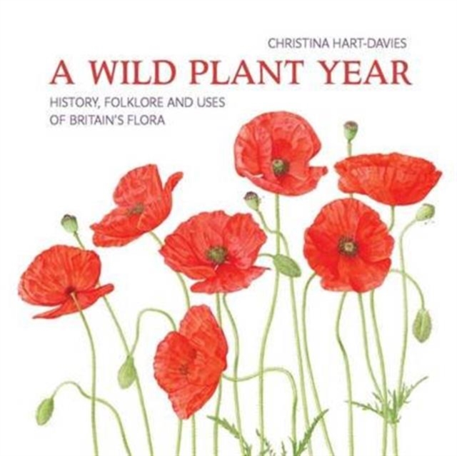 A Wild Plant Year : The History, Folklore and Uses of Britain's Flora, Paperback / softback Book