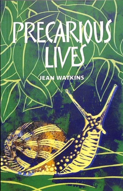 Precarious Lives, Paperback / softback Book