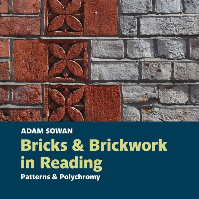 Bricks and Brickwork in Reading : Patterns and polychromy, Paperback / softback Book