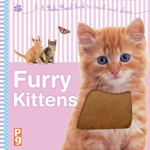 Feels Real!: Furry Kittens, Board book Book
