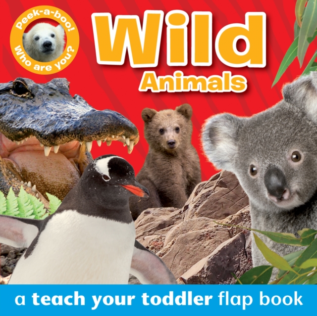 Peek-a-Boo Books: Wild Animals, Board book Book