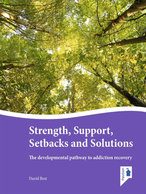 Strength, Support, Setbacks and Solutions : The developmental pathway to addiction recovery, PDF eBook