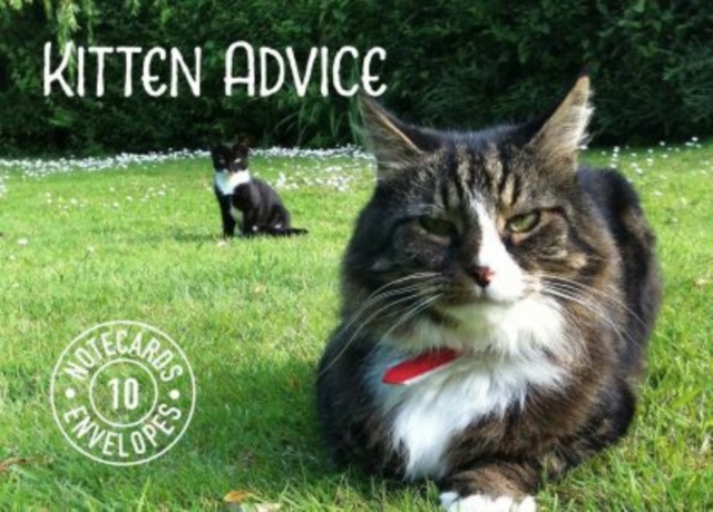 Kitten Advice Notecards, Other merchandise Book