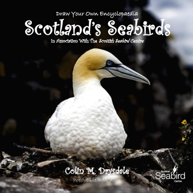 Draw Your Own Encyclopaedia Scotland's Seabirds, Paperback / softback Book