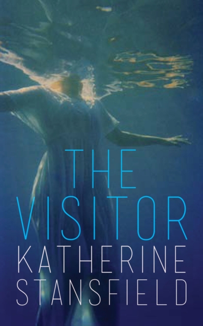 The Visitor, Hardback Book