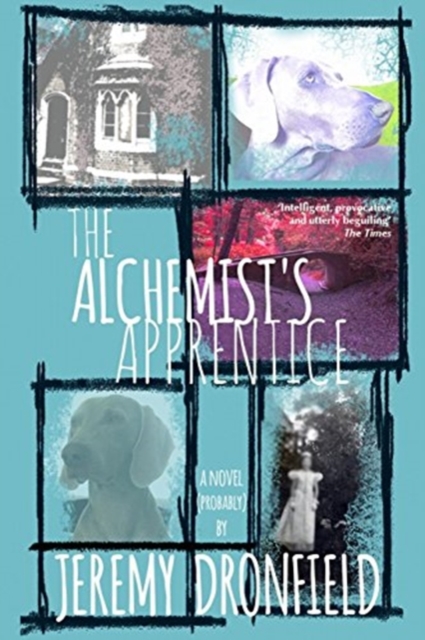 The Alchemist's Apprentice, Paperback / softback Book