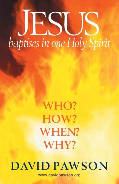 Jesus Baptises in one Holy Spirit, Paperback / softback Book