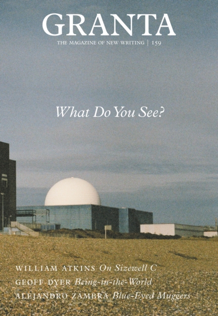 Granta 159: What Do You See?, EPUB eBook