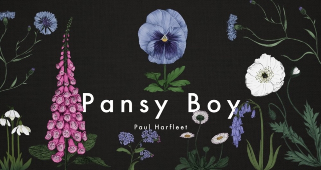 Pansy Boy, Hardback Book