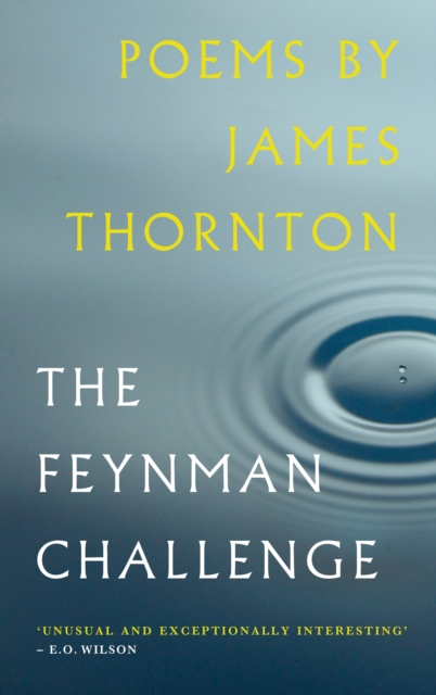 Feynman Challenge, Paperback / softback Book