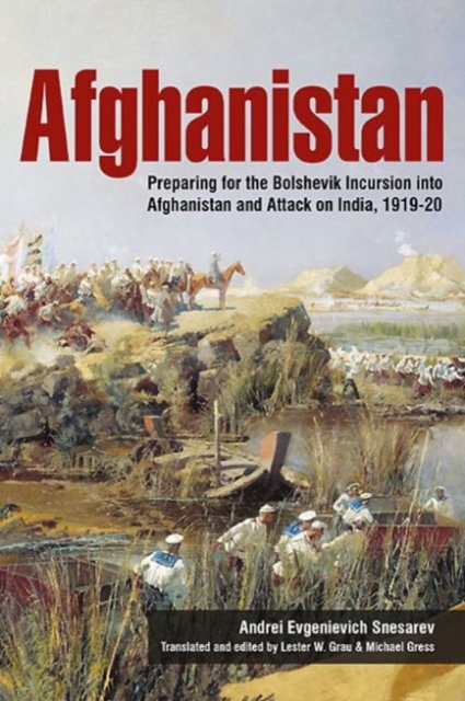 Afghanistan : Preparing for the Bolshevik Incursion into Afghanistan and Attack on India, 1919-20, Paperback / softback Book