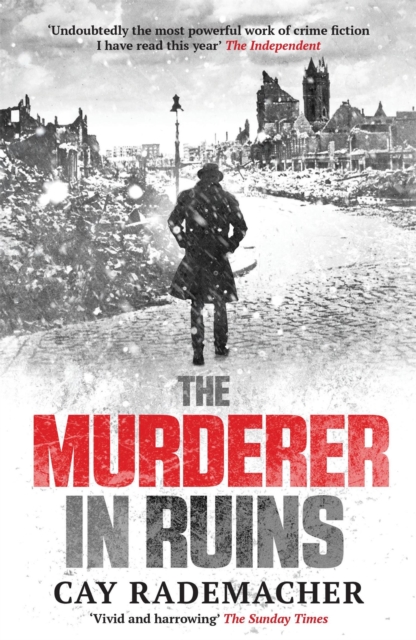 The Murderer in Ruins, EPUB eBook