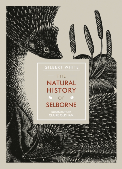 The Natural History of Selborne, Paperback / softback Book