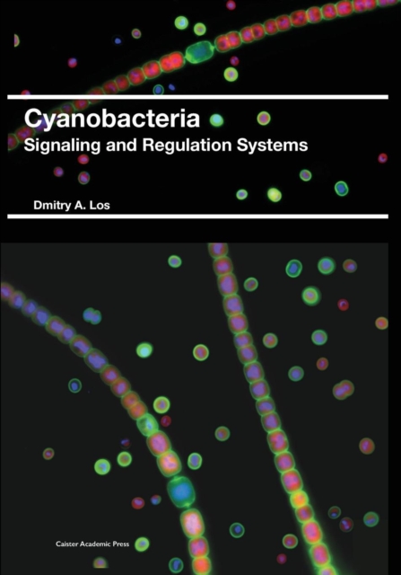 Cyanobacteria : Signaling and Regulation Systems, Paperback / softback Book