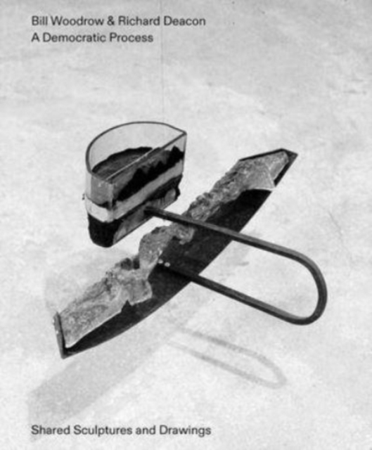 Bill Woodrow & Richard Deacon - a Democratic Process: Shared Sculptures and Drawings, Paperback / softback Book