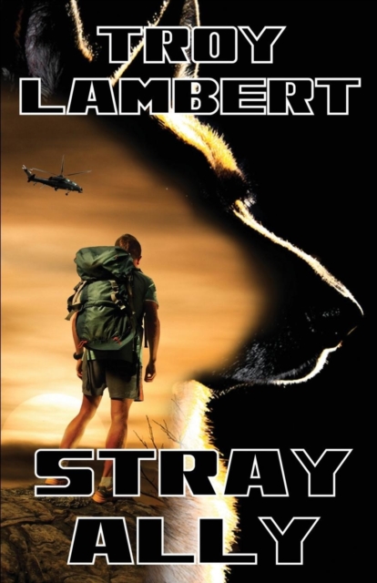 Stray Ally, Paperback / softback Book
