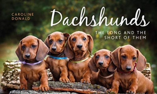 Dachshunds : The Long and the Short of Them, Hardback Book