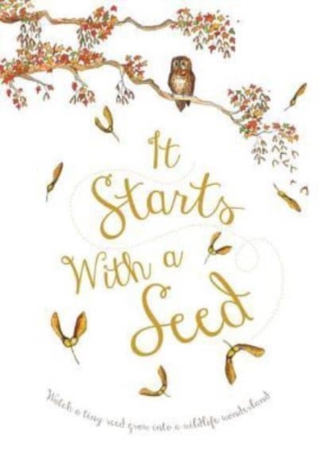 It Starts with a Seed, Hardback Book