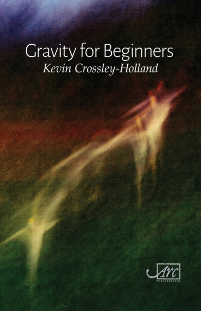 Gravity for Beginners, Paperback / softback Book