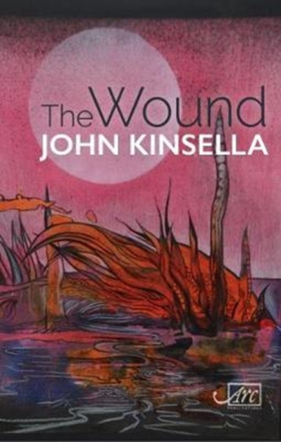The Wound, Paperback / softback Book