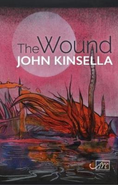 The Wound, Hardback Book