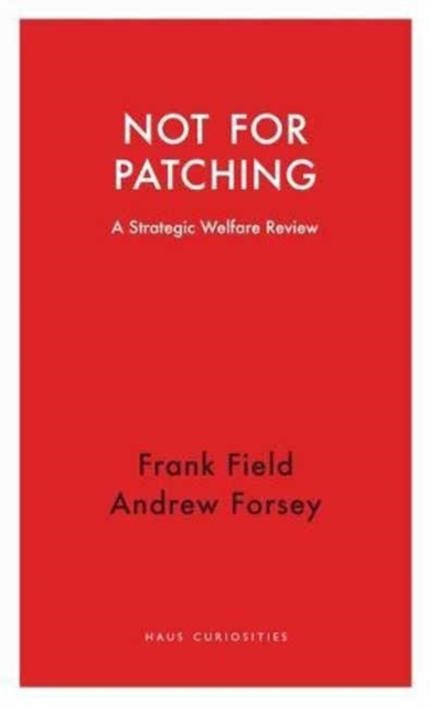 Not for Patching : A Strategic Welfare Review, Paperback / softback Book