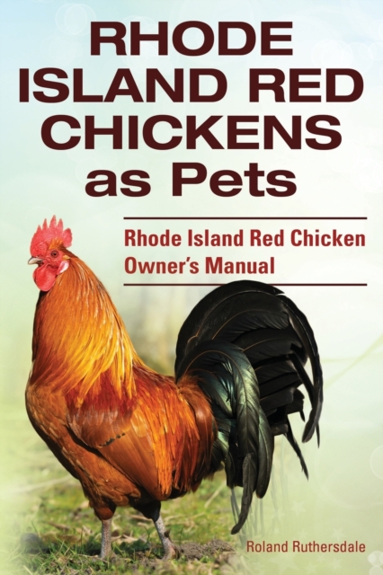 Rhode Island Red Chickens as Pets. Rhode Island Red Chicken Owner's Manual, Paperback / softback Book