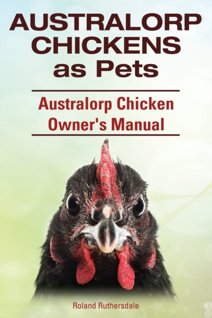 Australorp Chickens as Pets. Australorp Chicken Owner's Manual., Paperback / softback Book