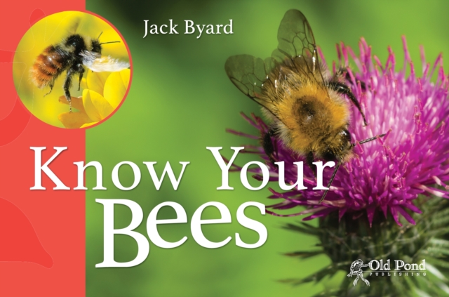 Know Your Bees, Paperback / softback Book
