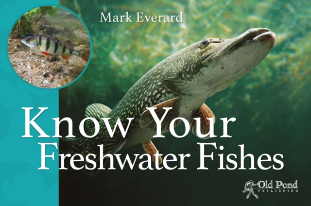 Know Your Freshwater Fishes, Paperback / softback Book