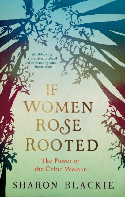 If Women Rose Rooted : The Power of the Celtic Woman, Paperback Book