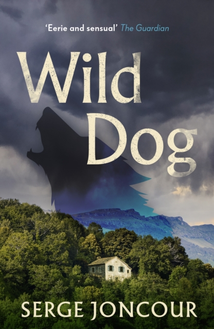 Wild Dog: Sinister and savage psychological thriller, Paperback / softback Book