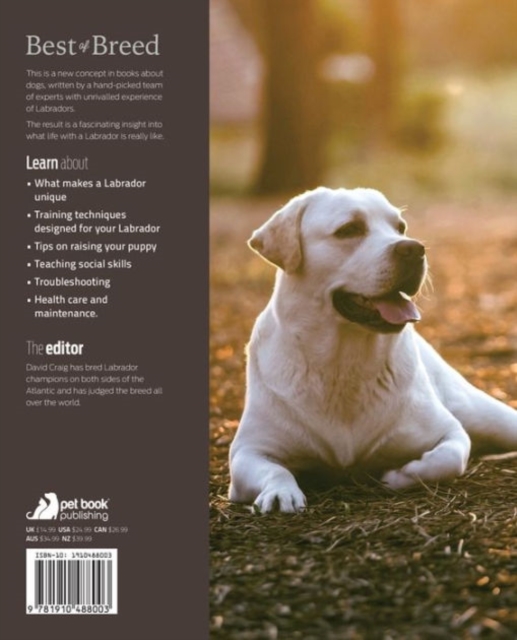 Labrador Retriever Best of Breed, Paperback / softback Book