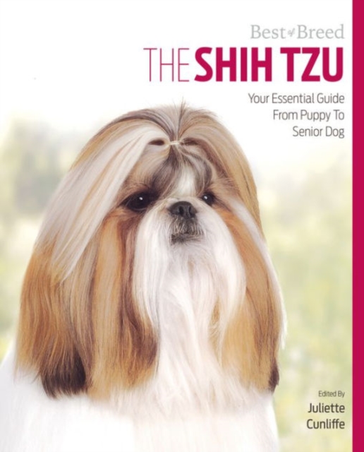 Shih Tzu Best of Breed, Paperback / softback Book