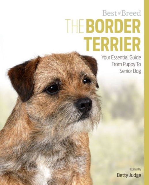 Border Terrier Best of Breed, Paperback / softback Book
