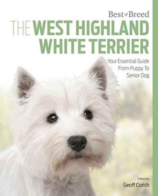 West Highland White Terrier : Best of Breed, Paperback / softback Book