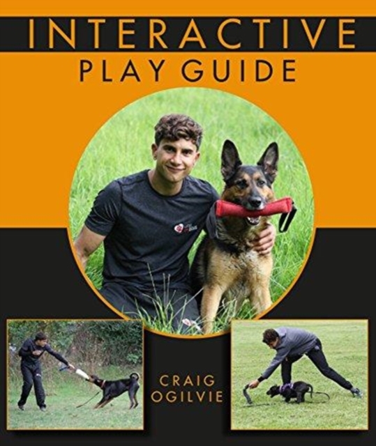 Interactive Play Guide, Paperback / softback Book