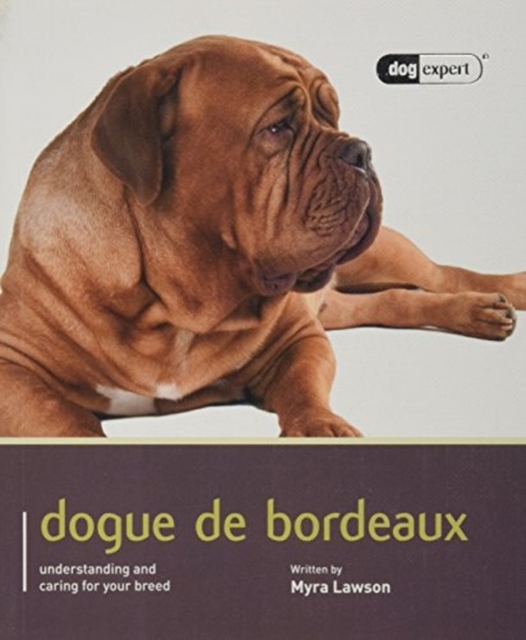 Dogue de Bordeaux: Dog Expert, Paperback / softback Book
