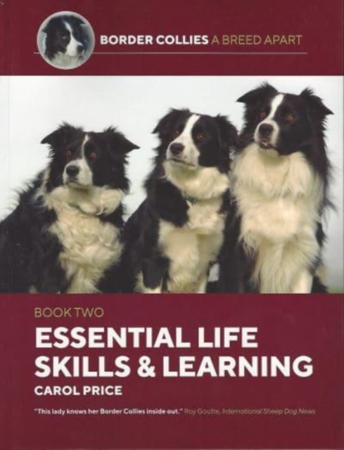 Life Skills and Learning, Paperback / softback Book